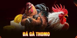 gioi-thieu-doi-net-ve-da-ga-thomo