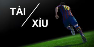 gioi-thieu-doi-net-ve-keo-tai-xiu