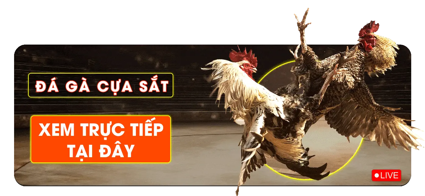 da-ga-cua-sat-truc-tiep-c54