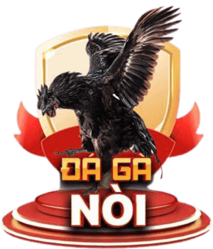 da-ga-noi-hap-dan-c54