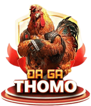 da-ga-thomo-truc-tiep-54