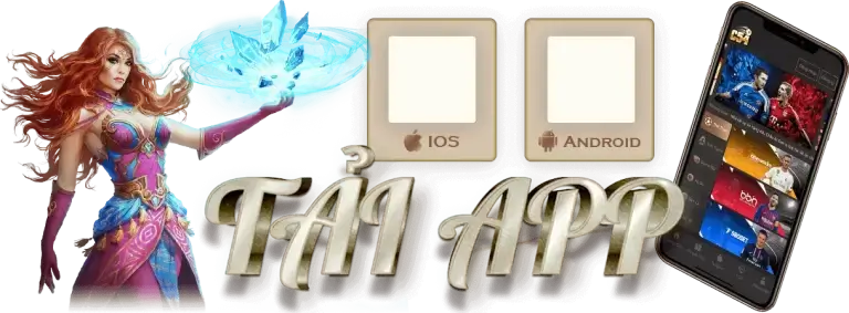 tai-ap-qr-danh-cho-c54