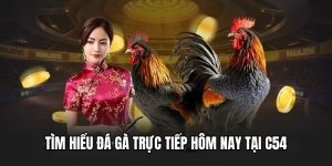 tong-quan-ve-truc-tiep-choi-ga-c54