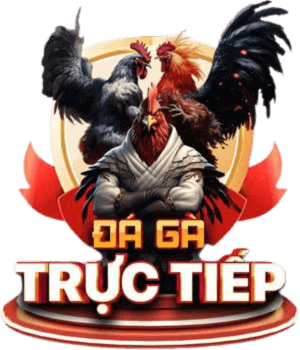 truc-tiep-da-ga-c54-hap-dan